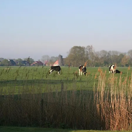 Blick Up De Kohjen * Butjadingen